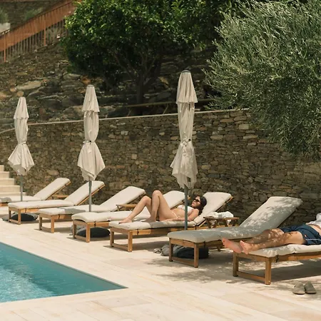 Douro Olive Hills Village - Adults Only - By Fero Bed & Breakfast