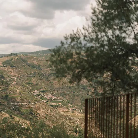 Bed & Breakfast Douro Olive Hills Village - Adults Only - By Fero Casal de Loivos