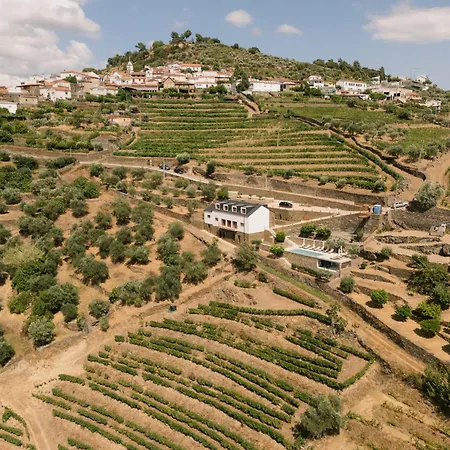 Douro Olive Hills Village - Adults Only - By Fero Bed & Breakfast